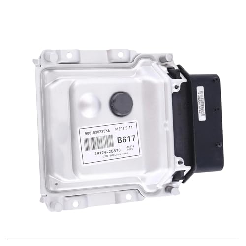 Plus de Ratés Moteur grâce à l'ECU 39124-2B570 Unité de Contrôle
