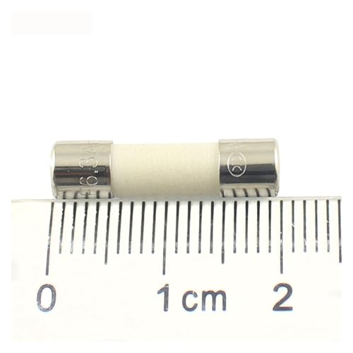Fusibili a cartuccia for tubo in ceramica, fusibile di rete domestico in ceramica 100 pezzi ad azione rapida 5x20mm 250V 0,1-30A(0.2A)