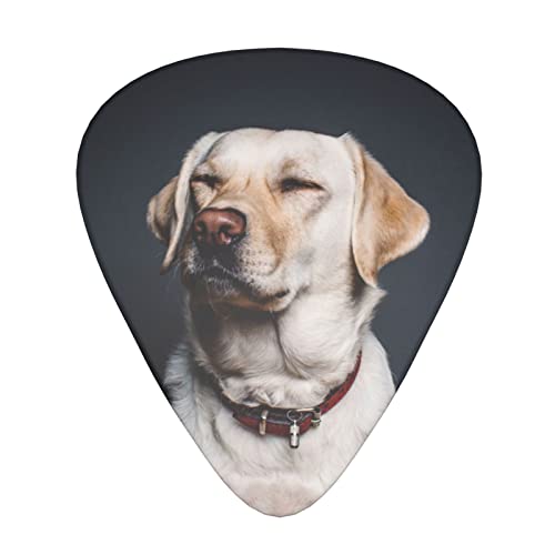 Ensemble de 12 médiators de guitare pour chien Labrador mignon pour guitare acoustique, guitare électrique, contrebasse… - Les Beatles, Paul McCartney, John Lennon, RIngo Starr, George Harrison Ensemble de 12 médiators de guitare pour chien Labrador mignon pour guitare acoustique, guitare électrique, contrebasse…