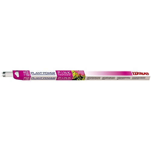 Amtra Plant Power - Tubo al Neon per acquari T8 / 25Watt / Luce rosata per fotosintesi - Image 3