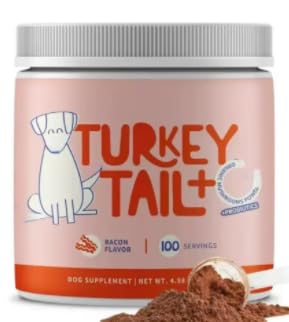 (1pcs) Turkey Tail Mushrooms for Dogs– Energy & Immunity