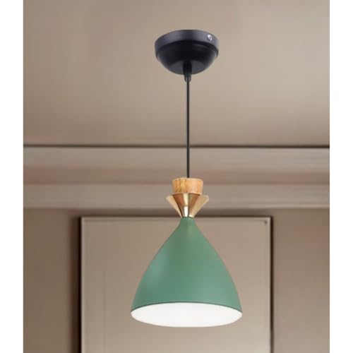Image of Aluminium Hanging Bell Shade Light, Green, Pack Of 1