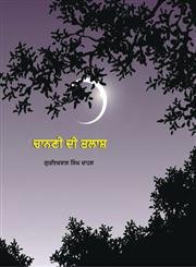 Hardcover Chanani Di Talash [Punjabi] Book