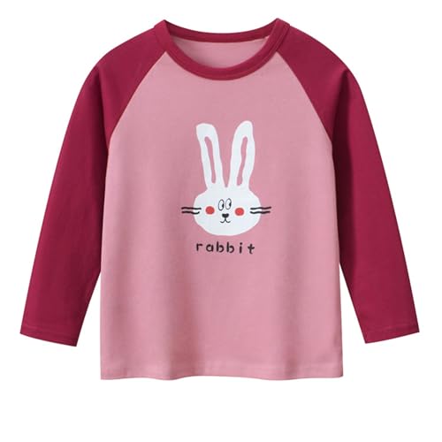 Toddler Girls Long Sleeve T-Shirts Casual Graphic Cotton Tee Shirts Multipack2