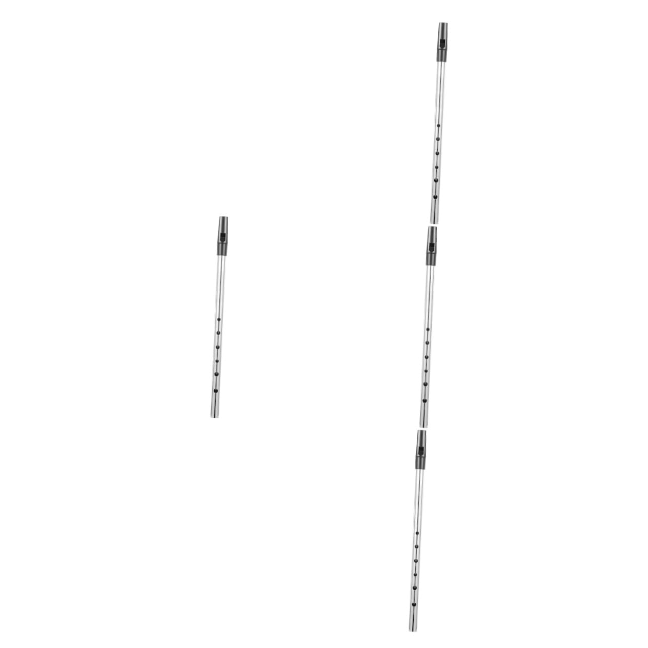 Toyvian 4pezzi Soprano Recorder d Key Metallo Principianti Strumento Musicale Leggero e Portatile Ottimo Pratiche Musicali Sviluppare La La Musica
