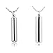 Lot de 2 pendentifs en forme de capsule en acier inoxydable