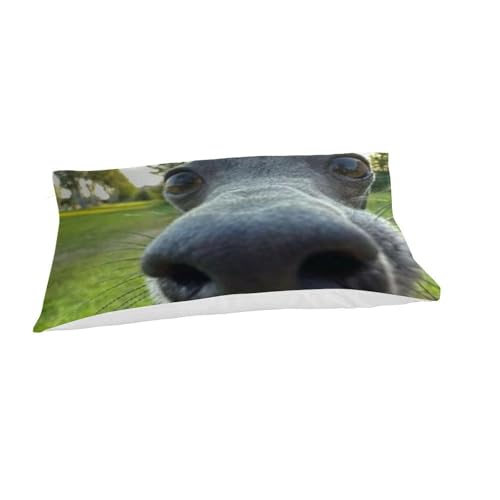 Linge de lit chiots 3D de qualité supérieure en microfibre résistante - 7