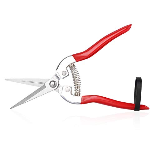 VPMeetx Pruning Shear Garden Scissors - Straight Stainless Steel Blades Pruning Snips - Flower Arranging Plant Trimming Fruit Harvesting Pruner Tool