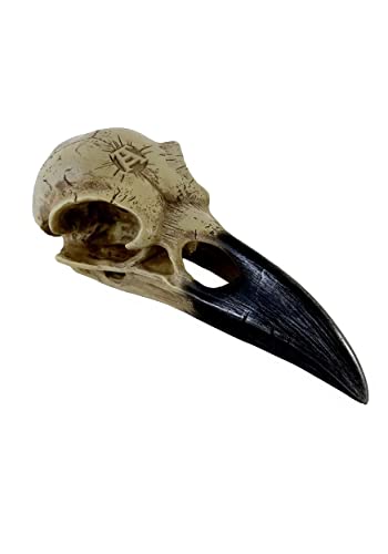 Corvus Alchemica Raven Skull by Alchemy