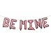 BE Mine Valentine Banner Decoration Balloon for Galentines Day Bubbly Bar Bridal Shower Wedding Bridal Shower Marry Me Bachelo Party Supplies (BE MINE Pink)