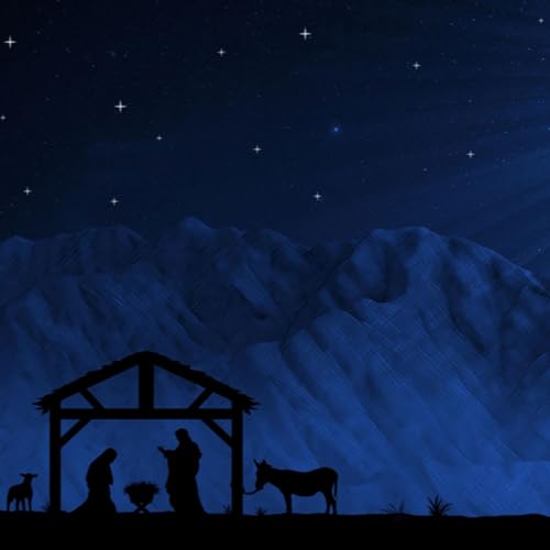 The Christmas Story Part 3: Witnesses
