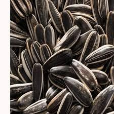 Beons Organic sunflower seeds 400gm For Pets | Birds | Nutritious Diet For Birds (B0CZ7BBZMN) Amazon Price History, Amazon Price Tracker
