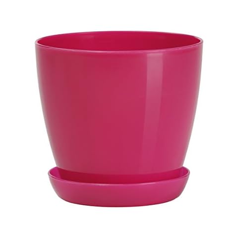 Zanvic Flowerpot BEGONYA Fresh Round with Saucer Included 10 cm, Magenta, 10 x 10 x 9.1999999999999993 cm, ZA450 Cover