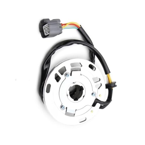 Bobine de stator 21003-1381 pour réparer l'allumage défaillant des motos KX125 1999-2000