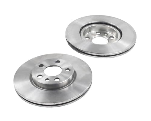 2x Bremsscheibe Kompatibel mit Peugeot Expert 224 96-06