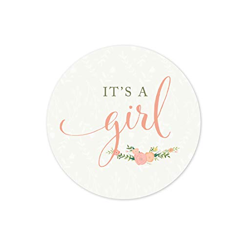 Andaz Press Floral Roses Girl Baby Shower Collection, Round Circle Label Stickers, It's a Girl!, 40-Pack