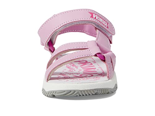 Primigi Kids Girl's 39708 (Toddler/Little Kid) Pink/Fuchsia EU 24 (US 8 Toddler) M2