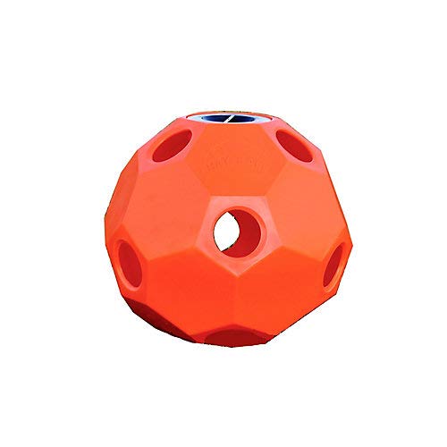 Burlingham Sports Slow Feed Hay Ball Feeder