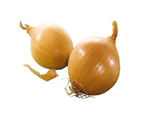 Gemüsezwiebeln, 750 g