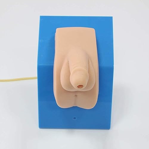 Cathétérisme masculin modèle de simulateur médical pour pratique intuitive des soignants - 3