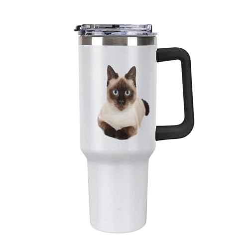 @r VL VlR  ԃJbv X|[c{g XeX }O{g EH[^[{g ^fM ۗ/ۉ|bg