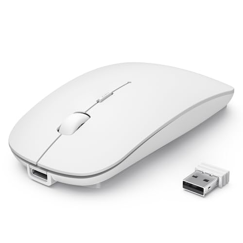 TECKNET Souris sans Fil Bluetooth, Rechargeable Mouse avec DPI Réglable 4800/3200/2400/1600/1200/800, Mini Souris RF 2.4G USB, Souris Wireless 4 Boutons,...