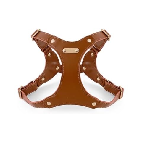 Harnais en Cuir pour Chien feiling Cover