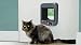 Cat Mate Mikrochip-gesteuerte Katzenklappe (360) - Für Katzen und kleine Hunde, für bis zu 30 Haustiere, für Einfach-/Mehrfachverglasung, UPVC, Wände und Holz, grau
