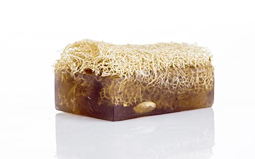 Lavender Body Bar with Loofah Inside - Natural Exfoliating Loofah Soap Bar - Smells Like Lavender & Vanilla - Handmade, Moisturizing - Relaxing Aromatherapy Soap for Face and Body [4.40 oz - 125 gr]