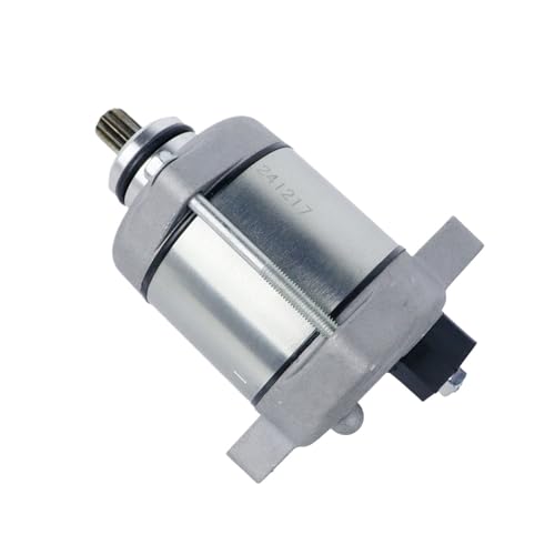 Moteur de démarreur XC W 300 250 pièce de rechange pour 55540001000