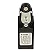 PIZZATO FR 531-25 - 80 DEG C, TECHNOPOLYMER HOUSING, Roller Lever, Position Switch, PG13.5, W/O Reset, NO Cable Gland/Connector, SNAP Action, Standard, 1 Conduit Entry, Silver Contacts, ZINC-Plated S