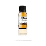 Terpenic Evo Avellana Aceite Virgen 60Ml - 1 unidad