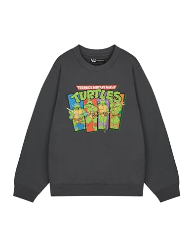 Sweat-shirt TMNT homme en maille respirante pour un confort thermique durable