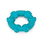 Petface (Little Petface) Rubber Ring Teething Chew Dog Toy, Perfect for Puppies and Small Dogs (Pack of 1)