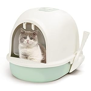 Nobleza Aseo Cerrado para Gato,Caja de Arena para Gatos Grande,Bandejas Gato Extraible y Pala incluida,50.5 x 37.5 x 38 cm,Verde