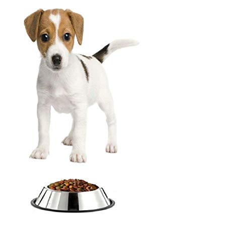 Image of Pets Empire Steel Dog Feeding Bowl (X Small)