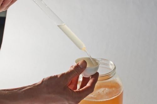 Glass Sample Taker/Thief by Kombucha Brooklyn