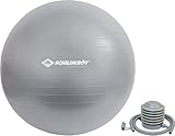 Schildkröt Unisex – Erwachsene træningsbold 65 cm Gymnastikball, Silber, 65cm - für Körpergrößen 161 bis 175cm EU