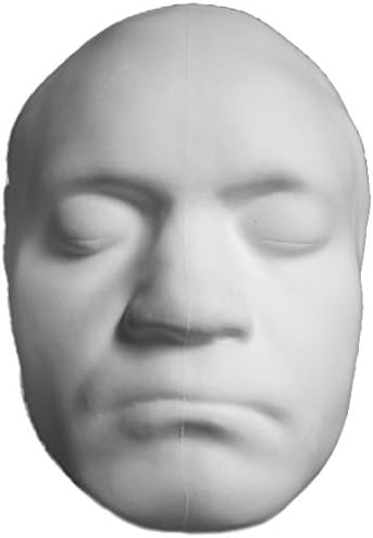 Torino Perspective Flat Back Bethoven Face for Artists,Decor, Display, Teaching Aid and Art Class