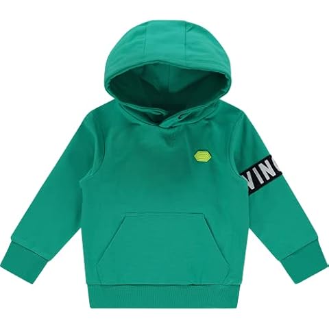 Vingino Mini Boys' Sweatshirt Pullover Hood Nolan Yoda Green - - 5 Years Cover