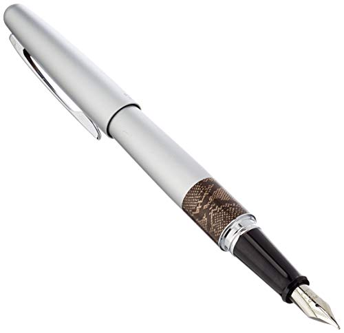 Stylo plume Pilot MR à plume moyenne en acier pour un tracé fluide et une écriture sans effort