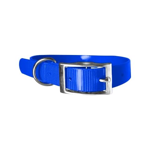 Collar Biothane Gold ultrarresistente en azul 101 Cover