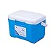 JY&WIN Raffreddatore Portatile Cool Box, ghiacciaia, Frigorifero Piccolo, Contenitore Termico per Picnic da 6 Litri, Contenitore per Alimenti Isolato da Campeggio, Piccolo Frigorifero Portatile Leg