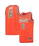 Nike Men's Florida A&M Rattlers Lebron James Famu #6 Basketball Jersey (US, Alpha, Medium, Regular, Regular, Orange)