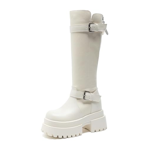 [cnstone] ꃍOu[c 10cmgUP fB[X ~C h WbL[u[c Cq[ r Ȃ obNWbv h\[ ₷ ʋ ʊw ۉ h g RXvC Cxgix[WC23cmj