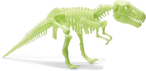 Image of Dino Fossil 3 In 1 Set - Multicolor