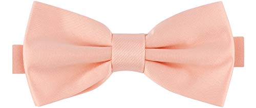 Ladeheid Nœud Papillon Accessoire Vêtement Homme - M (12cm x 6cm, Saumon) Cover