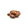 Yupik Organic Raw Cacao Beans, 2.2 lb (35.2 oz), Vegan, GMO-Free, Kosher, Gluten-Free, Dried Beans, Fermented, Unroasted, No Sugar Added, Source of Fiber & Iron, Ideal for Baking & Chocolate Making