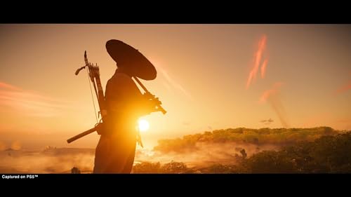 Ghost Of Tsushima Director' - vue 6