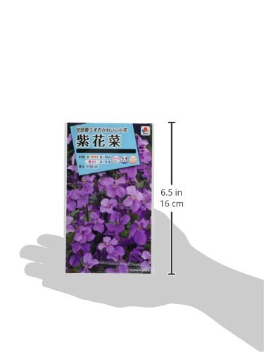Amazon | タキイ種苗 紫花菜紫花菜 | 花